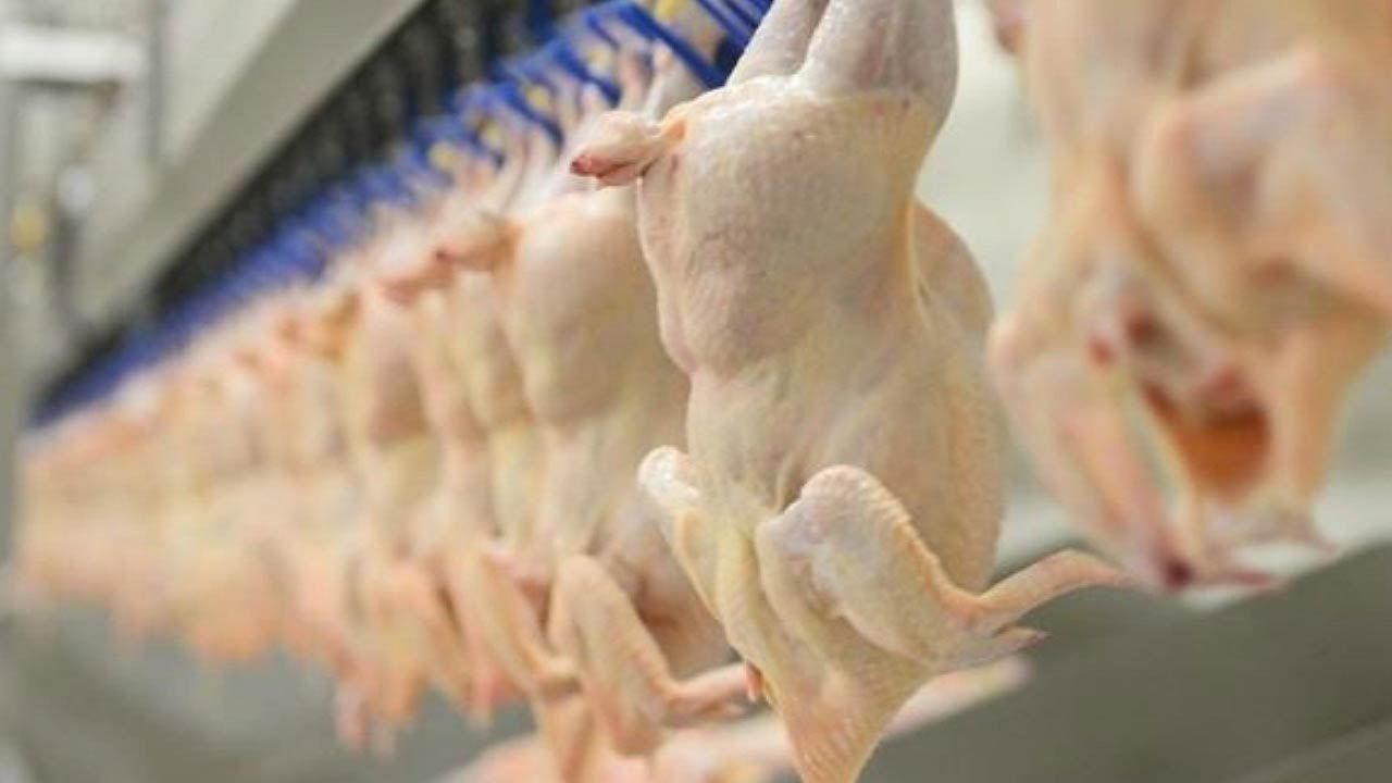 Tavuk ürünlerinde metal parçaları bulundu