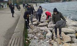 Gönüllü öğrenciler Sakarya'da sahil şeridinde temizlik yaptı