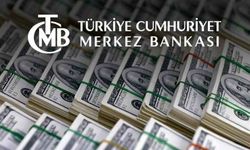 Merkez Bankası döviz verilerini açıkladı!