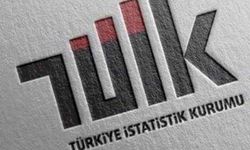 TÜİK:Ağustos ayı enflasyonu yüzde 9,09 