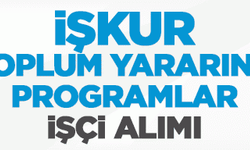 Toplum Yararına Programları (TYP) Hangileri...