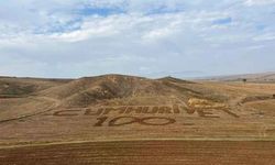 Merzifonlu çiftçi tarlasına traktörle "Cumhuriyet" yazdı