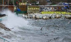 Tekirdağ'a deniz ulaşımı neden sağlanmıyor?  Lodos etkili oluyor