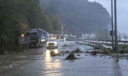 Artvin'de kuvvetli fırtına nedeniyle ulaşım aksadı!