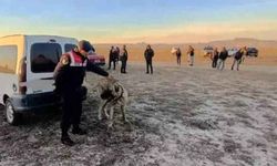 Kayseri'de köpek dövüşü yaptıranlara operasyon: 2 organizatör ve 35 kişi yakalandı!