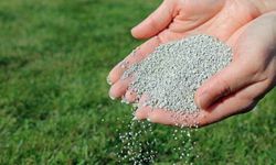Gübre fiyatlarına dev zam! ÜRE gübresine ton başına 600 lira zam geldi