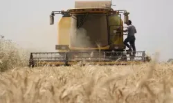 Hububat piyasası karıştı! Serbest piyasada Şubat fiyatları belli oldu (06.02.2024)