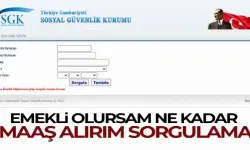 Emekli olmadan emekli maaşı sorgulama! Artık e-devlette