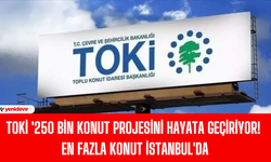 TOKİ '250 bin konut projesini hayata geçiriyor! En fazla konut İstanbul'da