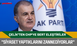 AK Partili Çelik'ten CHP'ye sert eleştiriler: "Siyaset yaptıklarını zannediyorlar"