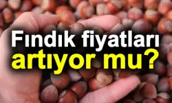 2025 yılına umutla başlayan fındık üreticileri: Serbest piyasa fındık fiyatları yükseliyor