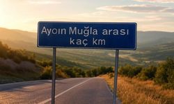 Aydın Muğla Arası Kaç Km? Yolculuk Süresi ve Yakıt Hesaplama Rehberi