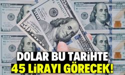 Dolar kuru için kritik tahmin! Finans devi 45 TL olacak dedi