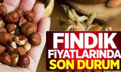 Fındık fiyatları 130-140 TL arasında değişiyor