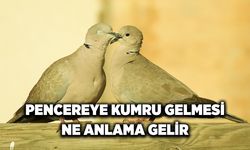 Balkona pencereye konan kuşun anlamı nedir? Kumru neyin sembolüdür?