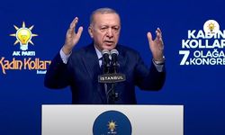 Cumhurbaşkanı Erdoğan: Armut piş ağzıma düş istiyorlar