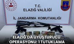 Elazığ'da kenevir tohumu operasyonu: 1 tutuklama