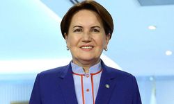 İYİ Partili Metin Ergun'dan Selçuk Özdağ'a cevap: Meral Akşener de paylaştı!