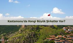 Kastamonu’da hangi büyük şirketler var?