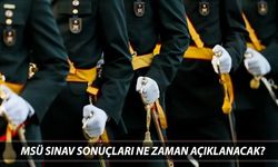 MSÜ sınavı ne zaman açıklanacak 2025? Nereden öğrenilir?