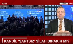 Öcalan'dan PKK'ya "silah bırakın" çağrısı! Süreç nasıl işleyecek?