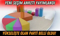 Son seçim anketi yayımlandı: Zafer Partisi dikkat çekti!