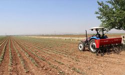 Gübre fiyatlarına büyük zam: Çiftçiler endişeli