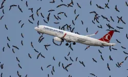 İstanbul hava sahasında leylek göçü başladı! Pilotlar zor anlar yaşadı