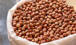 Fındık fiyatlarında son durum: 8 Nisan 2025 güncel fiyat listesi