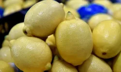 Türkiye’den ihraç edilen limonlarda pestisit alarmı: Avrupa ürünleri geri çevirdi