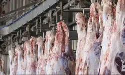 2 Mayıs 2025 güncel et fiyatları: Ankara’da dana kesim 485 TL’ye ulaştı!