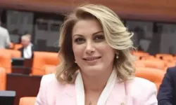 CHP Osmaniye Milletvekili Asu Kaya kimdir, evli mi? Nereli ve kaç yaşında?