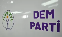DEM Parti PM Üyesi Livan Orman gözaltına alındı: Parti'den sert tepki