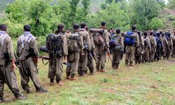 DEM Parti'den tarihi sinyal: "PKK her an fesih kararı alabilir!"