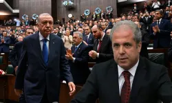 Erdoğan’ın yerel yönetim çıkışı sonrası Şamil Tayyar’dan tartışma yaratacak öneri