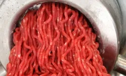 Kıyma skandalı! At ve eşek eti karıştırılan ürünler ortaya çıktı