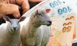 Kurban Bayramı öncesi emekli maaşı yatacak mı? 4A, 4B, 4C emeklileri için kritik açıklama