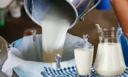 Süt fiyatları yükseliş rekoru kırdı: Tarihi artış
