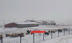 Doğu Karadeniz’de eylülde kar sürprizi! Yaylalar beyaza büründü