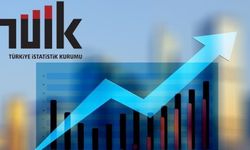 TÜİK kişi başına gelir hesaplamasını değiştiriyor! Suriyeli sığınmacılar da dahil