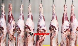 Ette sessiz kriz: Hayvancılık bitme noktasında