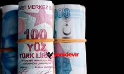 SGK uzmanından asgari ücret tahmini: Enflasyon hedefiyle uyumlu olacak