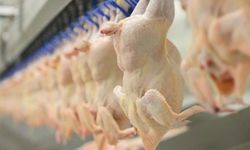 Tavuk ürünlerinde metal parçaları bulundu