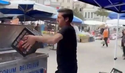 Çorum’da domatesleri çöpe döken pazarcıya rekor ceza: 17,2 Milyon TL’ye kadar yaptırım