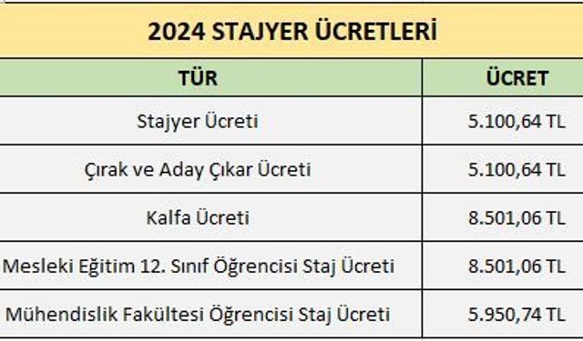 Lise ve üniversite öğrencilerinin yaz stajları başlıyor! İşte 2024 yaz staj ücreti