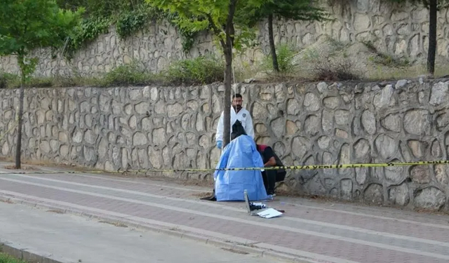 Malatya'da korkunç olay: 45 yaşındaki işadamı iple ağaca asılı halde ölü bulundu