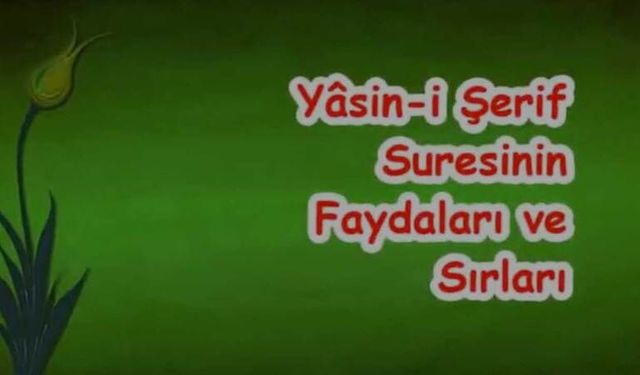 Yâsin Sûresi: Anlamı, Fazileti, Gizemi ve 41 Defa Okumanın Hikmeti