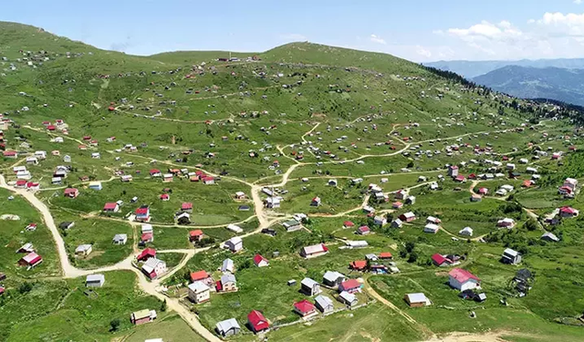 Yaylalardaki kaçak yapılara af: Orman yasası değişiyor