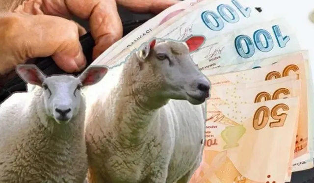 Kurban Bayramı öncesi emekli maaşı yatacak mı? 4A, 4B, 4C emeklileri için kritik açıklama