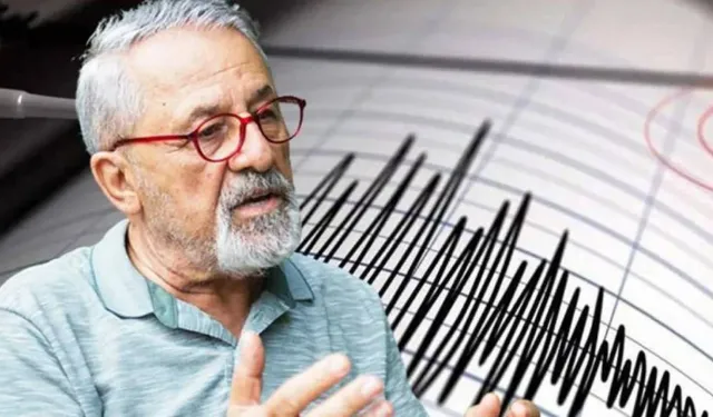 Bingöl'de 4,3 büyüklüğünde deprem: Naci Görür’den “stres birikimi” uyarısı